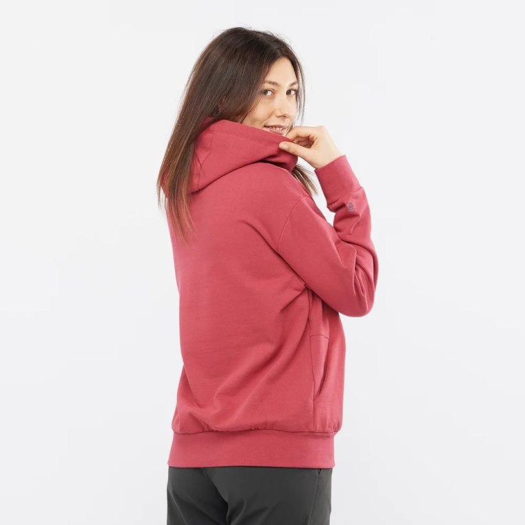 Sudaderas Salomon Outlife Logo Summer Mujer Rojos | MX PHIZ768